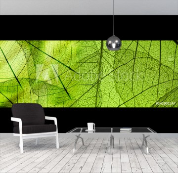 Bild på green foliage texture